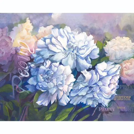Peonies 16 x 20", Archival Print on Canvas
